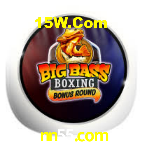 nn55.com